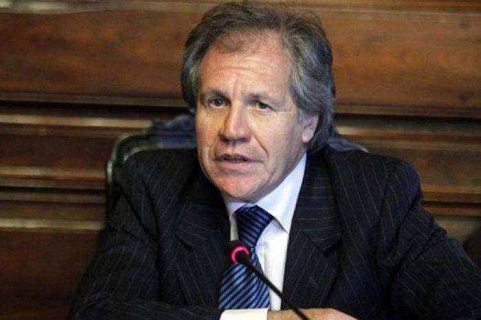 LUIS ALMAGRO.