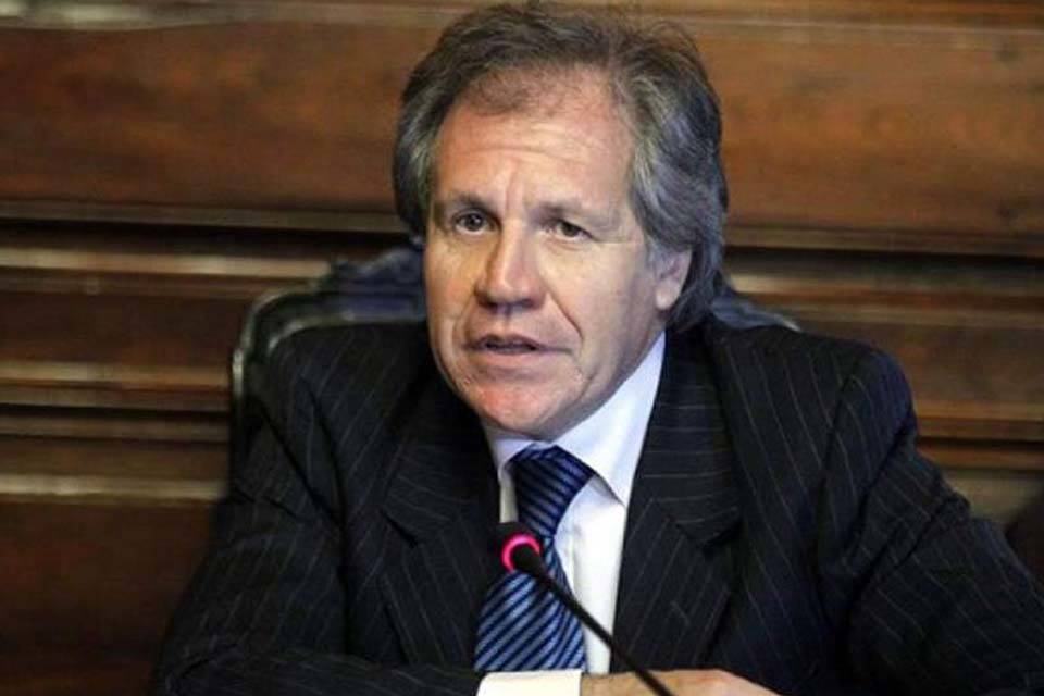 LUIS ALMAGRO.