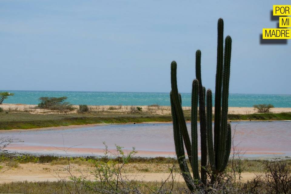 Paraguaná Por Mi Madre