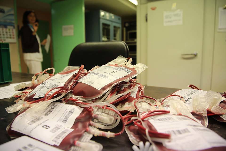 Bolsas bancos de sangre
