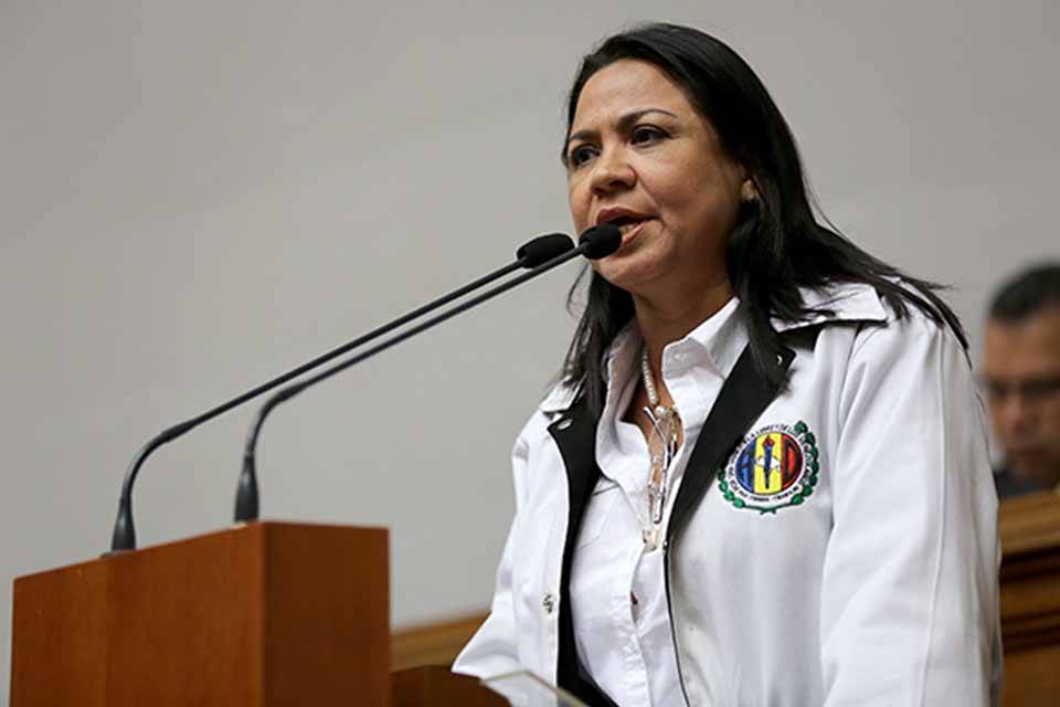 Dennis Fernández Acción Democrática diputada