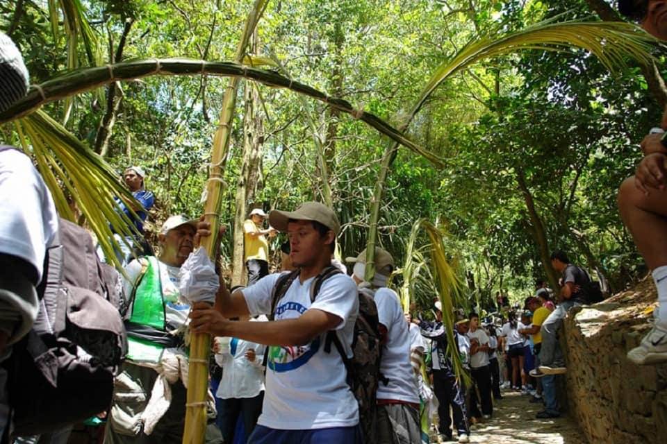 Palmeros de Chacao