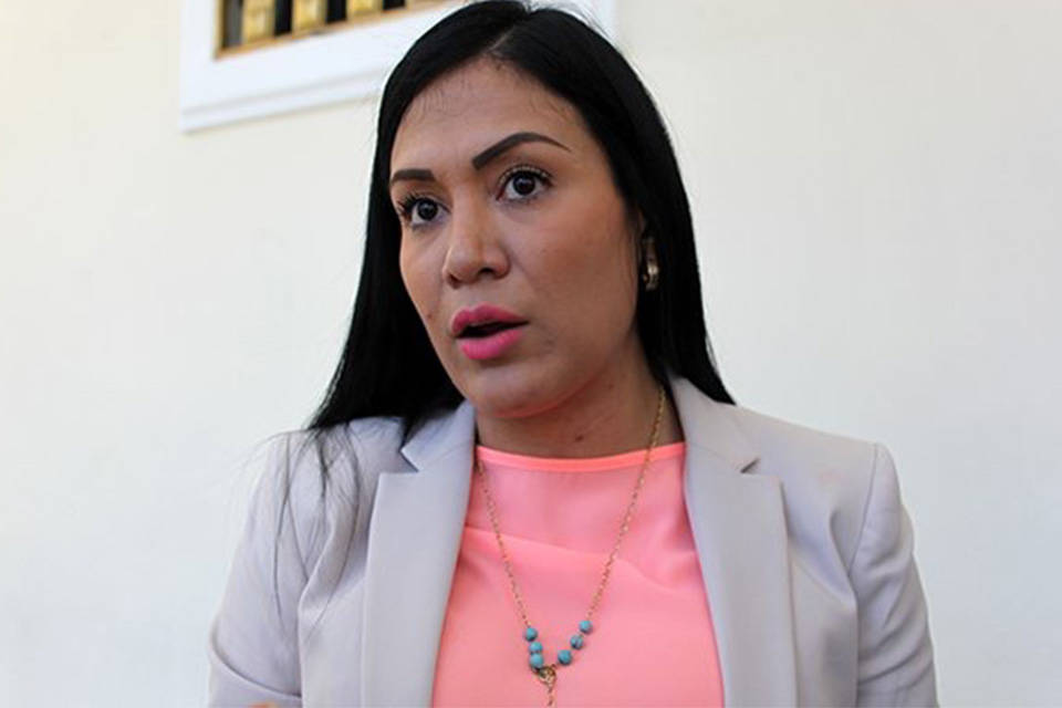 Táchira Laidy Gomez FAES