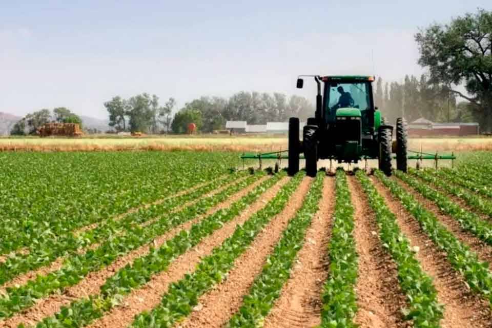Producción Agrícola - fedeagro - ucrania -