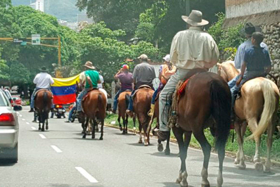 A galope. Foto: A todo momento