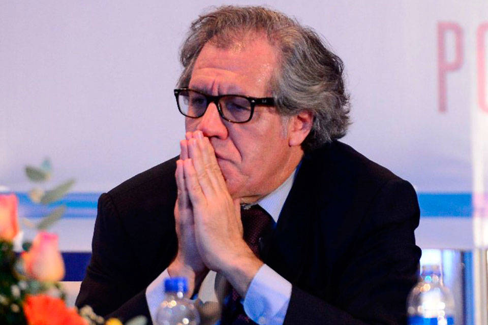 LUIS ALMAGRO.