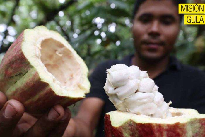 Cacao Misión Gula