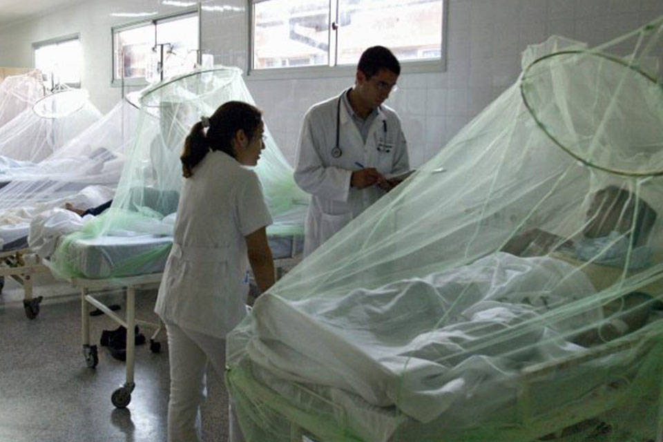 malaria