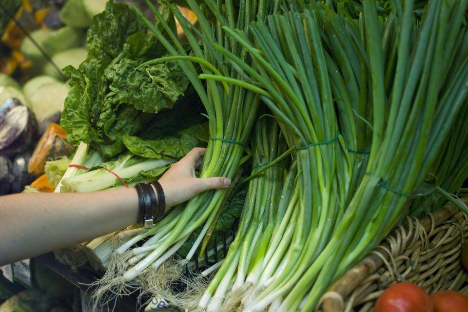 hortalizas Fedeagro