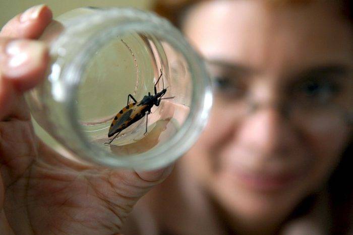 Mal de Chagas