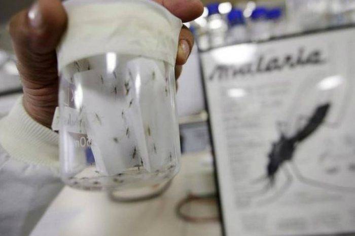 malaria