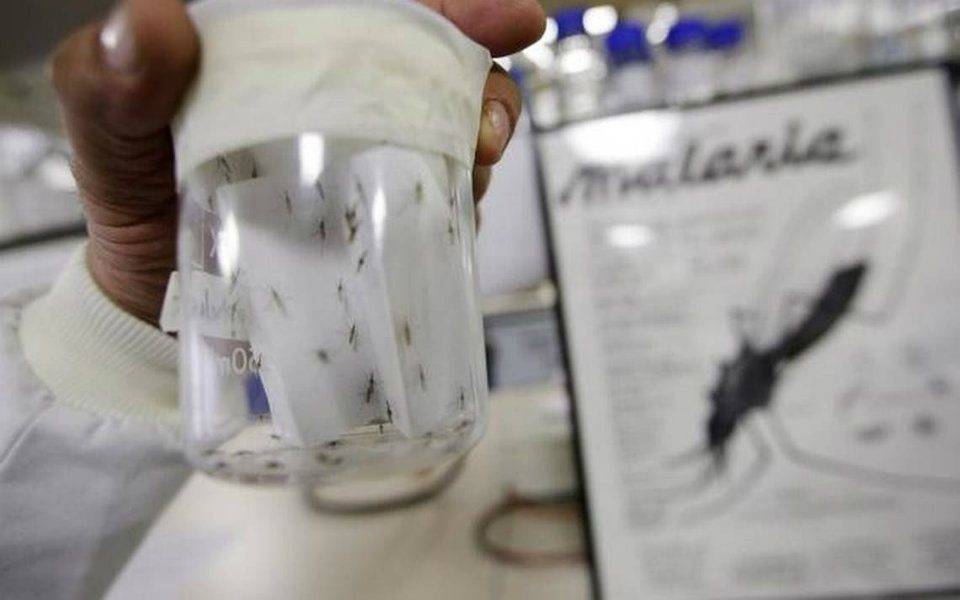 malaria
