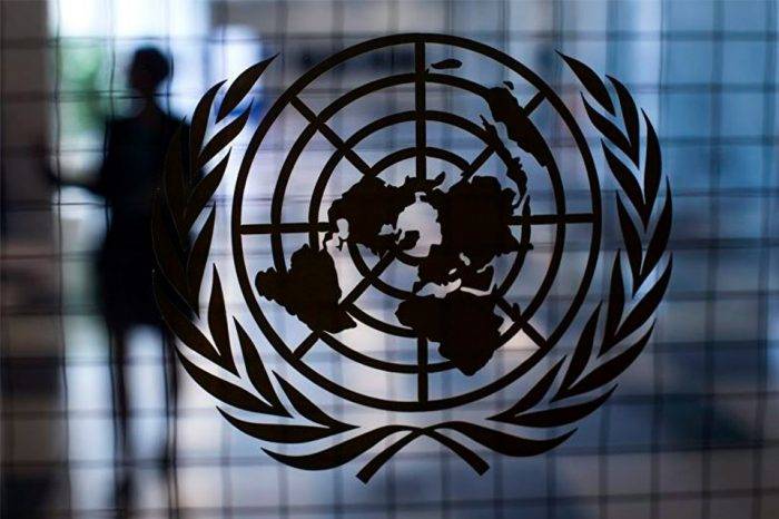Expertos ONU
