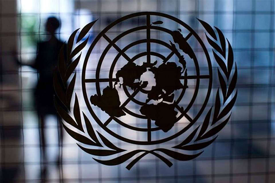 Expertos ONU