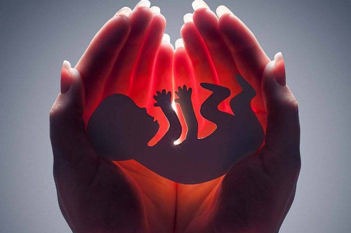Argentina se convierte en el cuarto país de América Latina en legalizar el aborto