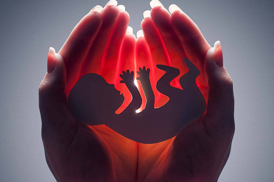 Argentina se convierte en el cuarto país de América Latina en legalizar el aborto