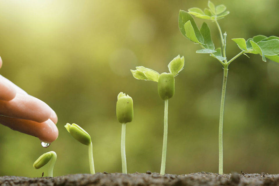 medio ambiente