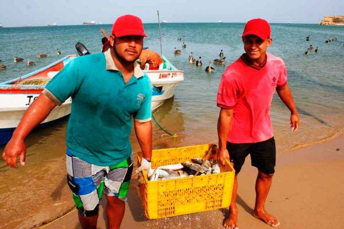 pesca sector pesquero