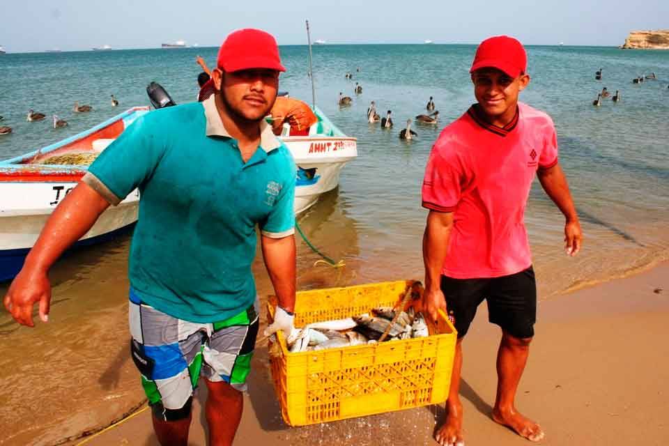 pesca sector pesquero