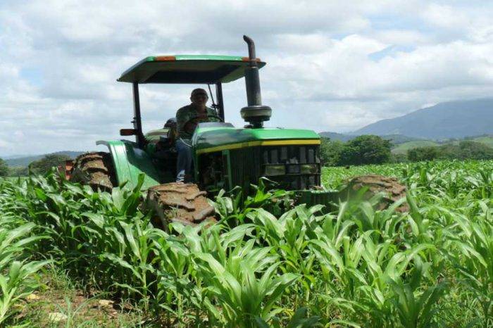 cAMPO FAO productores agropcuarios