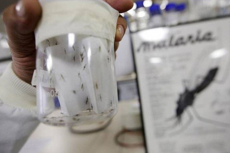 Malaria
