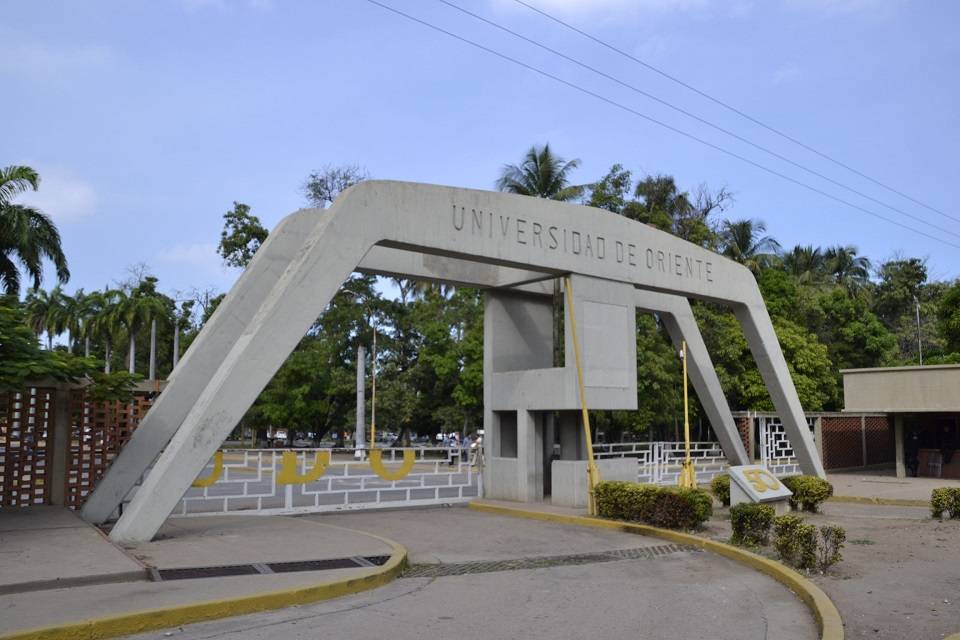UDO Cumaná hampa