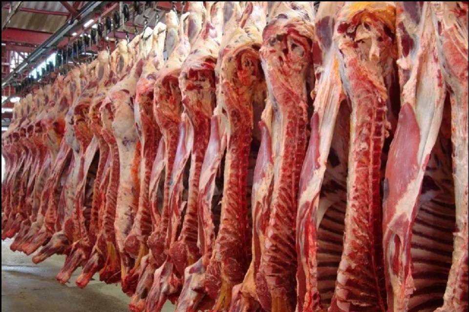 consumo de carne Ganaderos Convecar