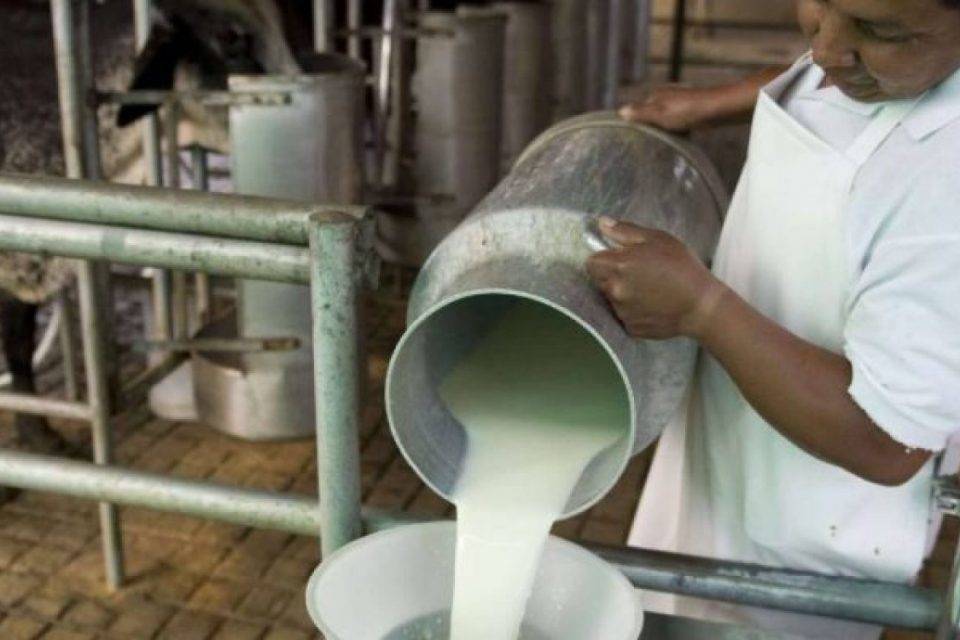 leche cavilac