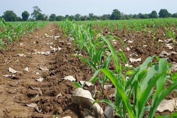 Mal estado de vías afecta a productores