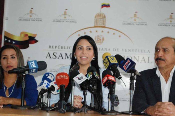 Delsa Solórzano Luis Silva Yajaira Forero presos políticos