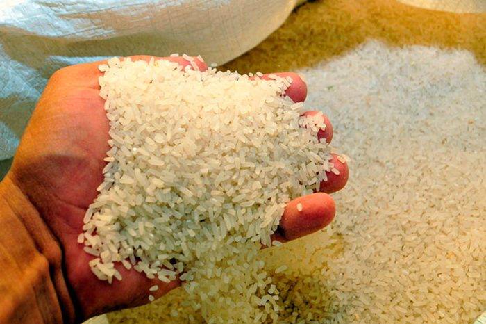 Arroz