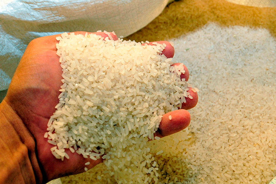 Arroz