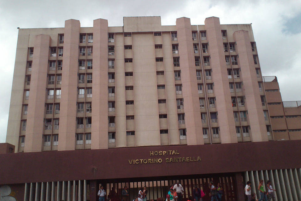Insumos