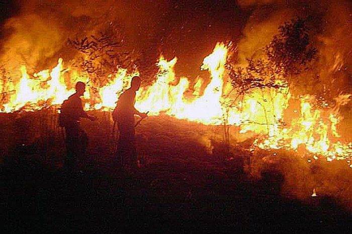 Focos de calor - incendios