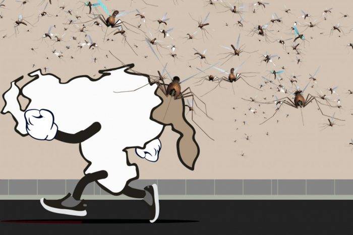 Malaria en Venezuela