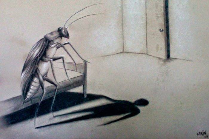 Metamorfosis o más de lo mismo