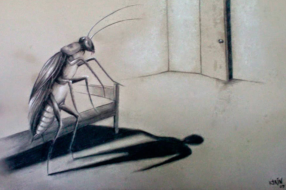 Metamorfosis o más de lo mismo