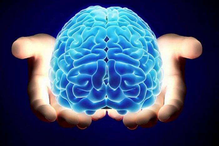 Cerebro