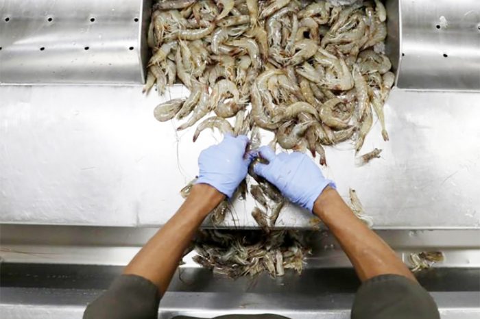 En una Venezuela con hambre, algunas empresas de alimentos, con la anuencia del gobierno de Maduro, privilegian la exportación