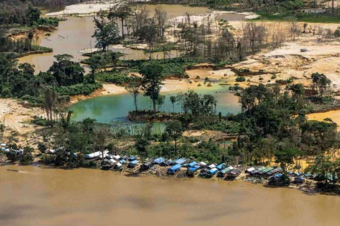 Canaima | El paraíso envenenado por el oro