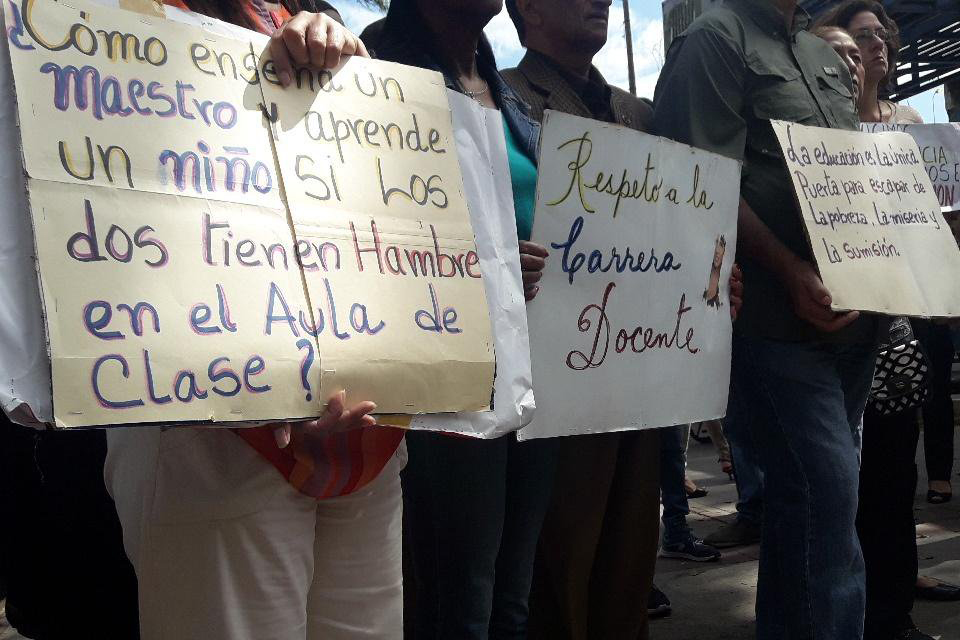 docentes