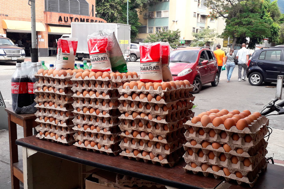 Aumenta producción de huevos
