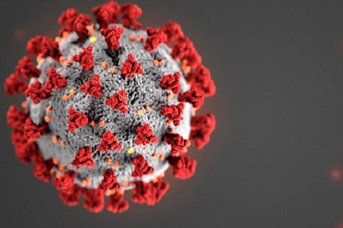 Virus
