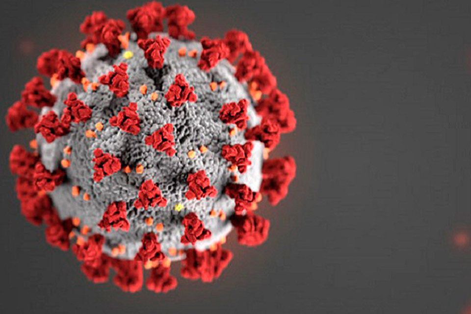Virus