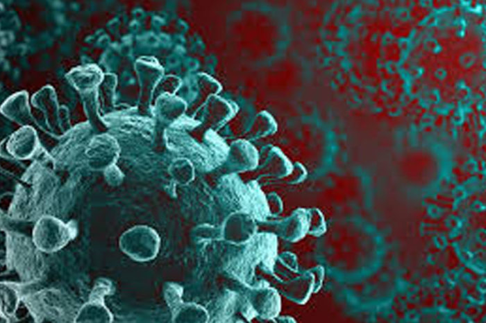 Virus
