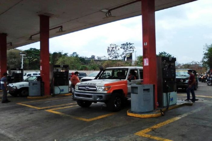 Gasolina
