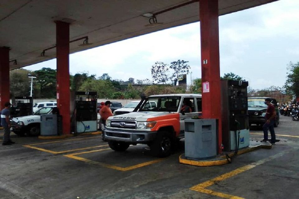 Gasolina