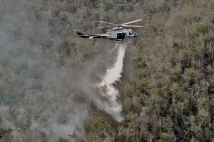 Incendio forestal GN Inparques