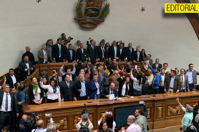diputados editorial
