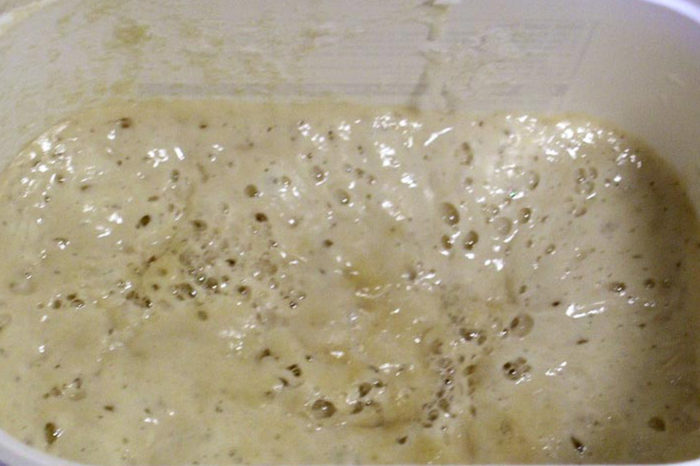 Masa madre